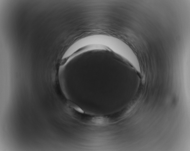 X0000096410231200802211232