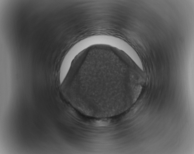 X0000096410232200802211232
