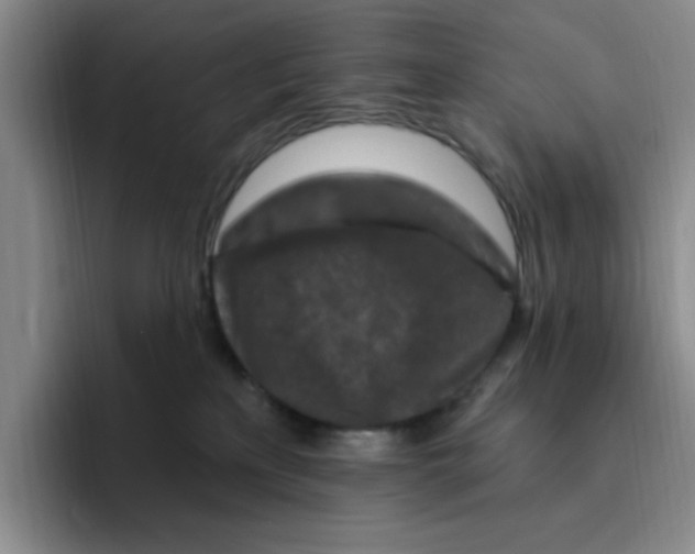 X0000096410233200802211232