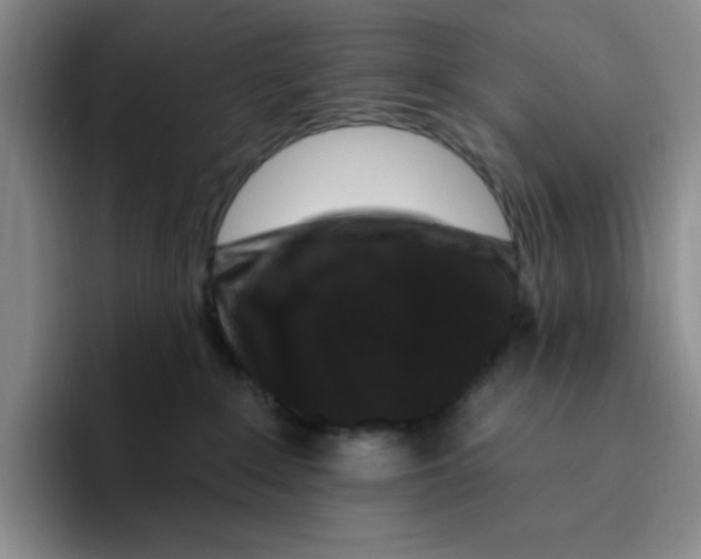 X0000096410235200802211232