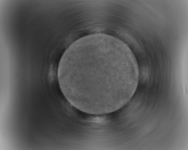 X0000096410236200802211232