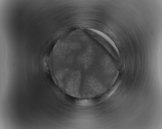 X0000096410237200802211232