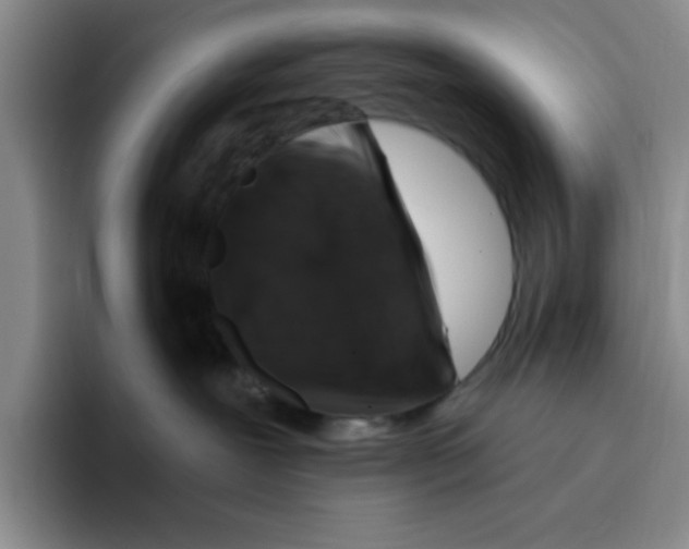 X0000096410239200802211232
