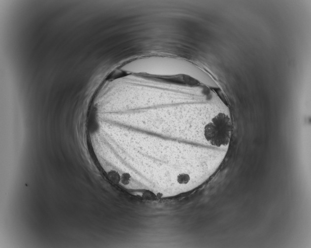 X0000096410241200802211231