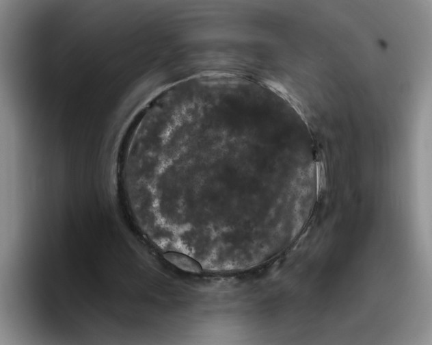 X0000096410243200802211231