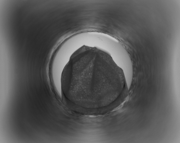 X0000096410244200802211231