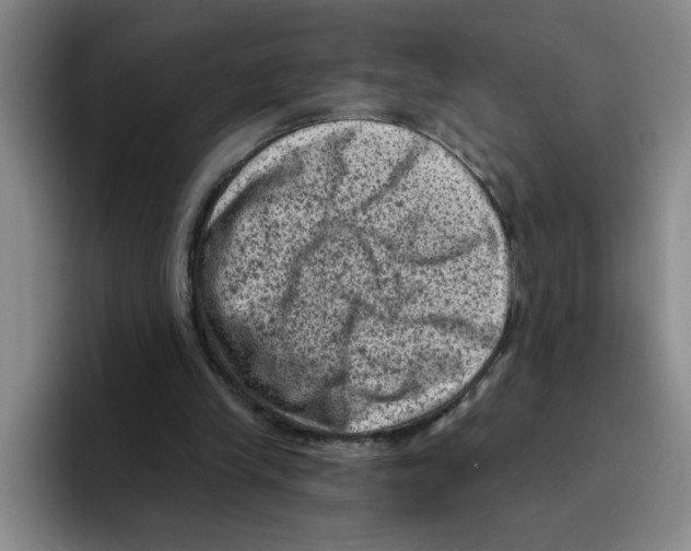 X0000096410245200802211231