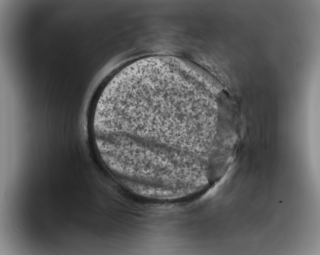 X0000096410246200802211231