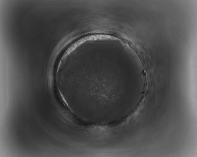 X0000096410247200802211231