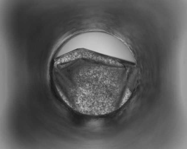 X0000096410248200802211231