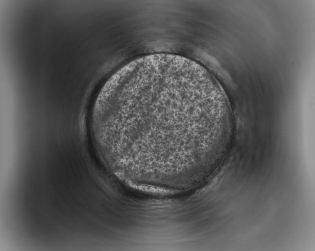 X0000096410250200802211231