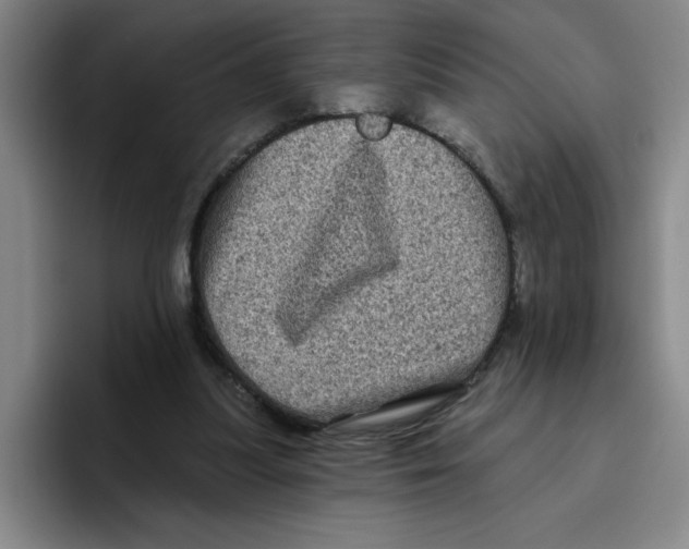 X0000096410251200802211231
