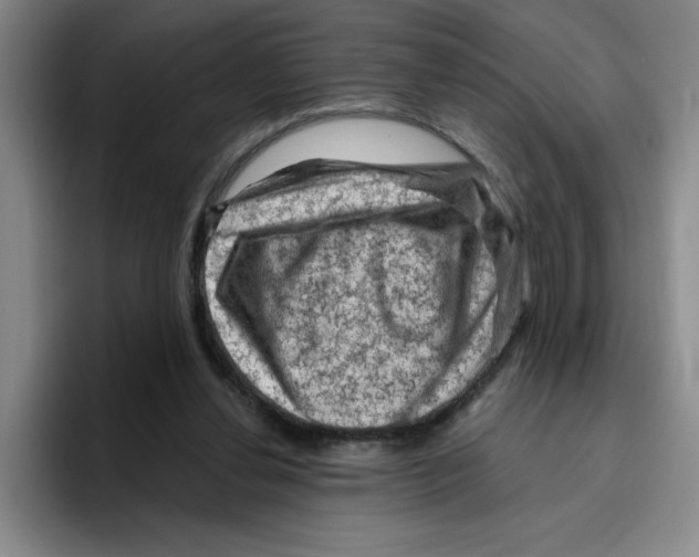 X0000096410252200802211231