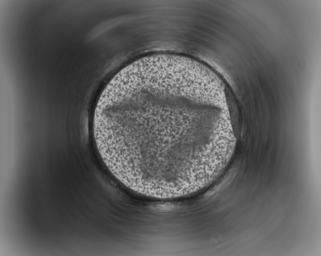 X0000096410253200802211231