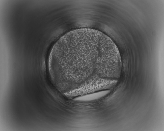 X0000096410254200802211231