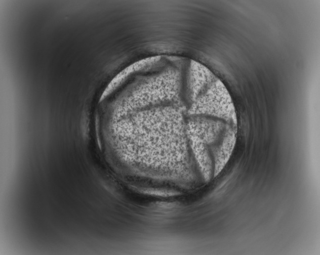 X0000096410255200802211231