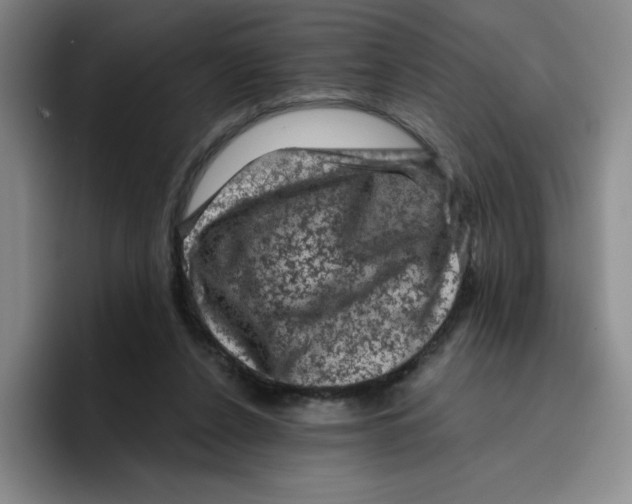 X0000096410256200802211231