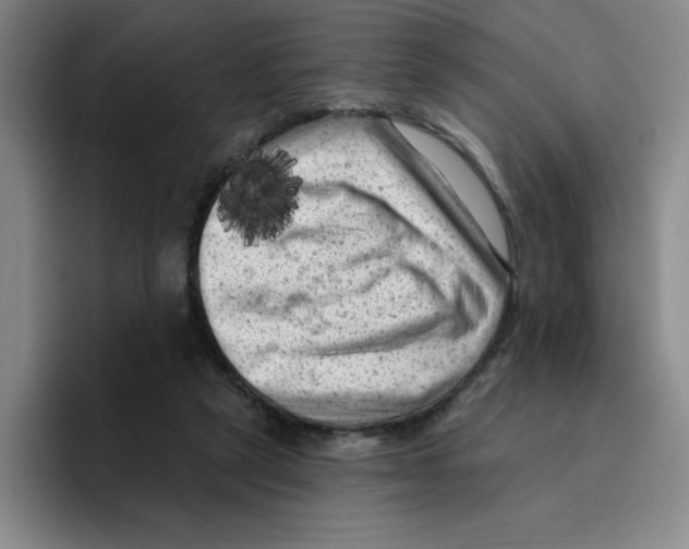 X0000096410257200802211232