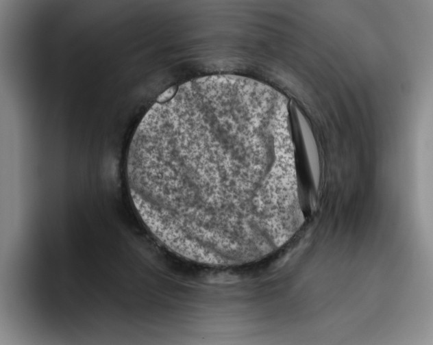 X0000096410258200802211232