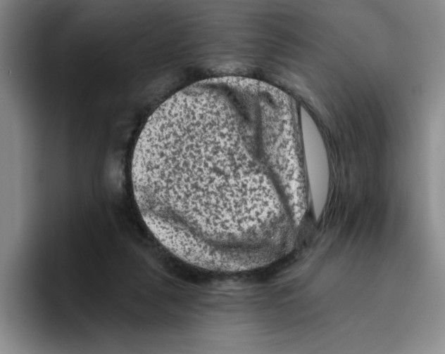 X0000096410259200802211232