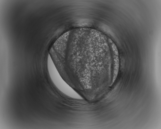 X0000096410260200802211232