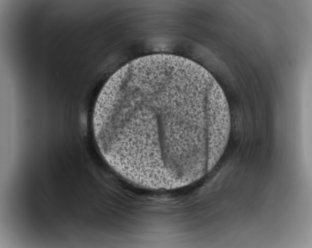 X0000096410262200802211232