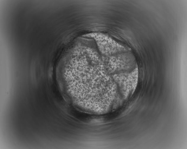 X0000096410263200802211232