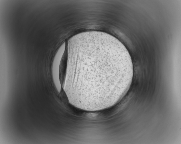 X0000096410265200802211232