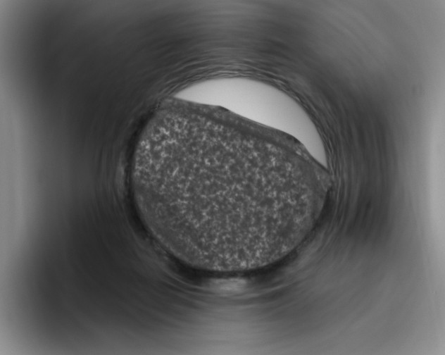 X0000096410266200802211232