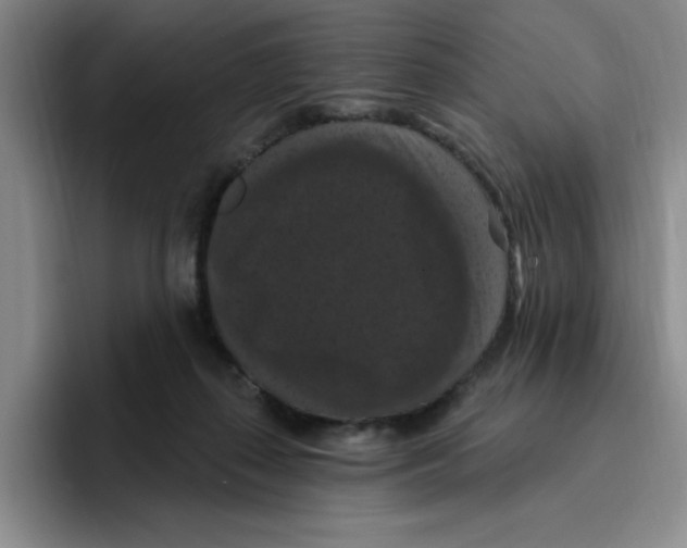 X0000096410267200802211232