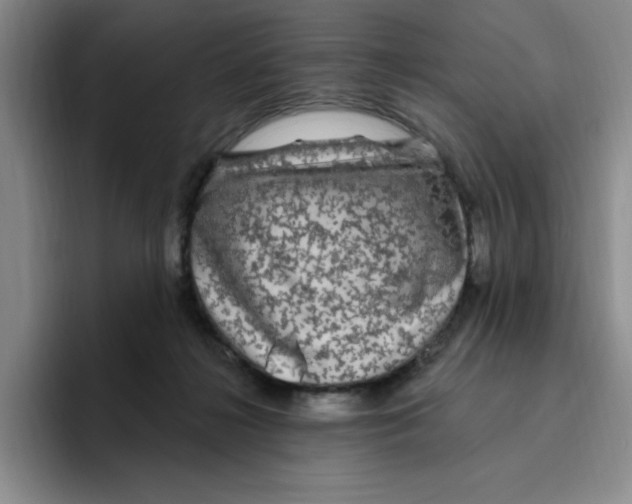 X0000096410268200802211232