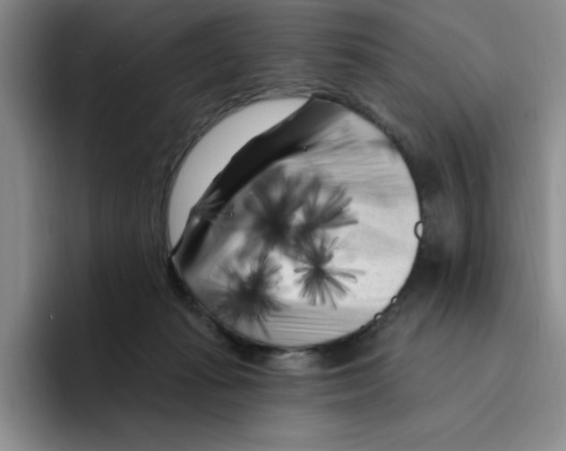 X0000096410269200802211232