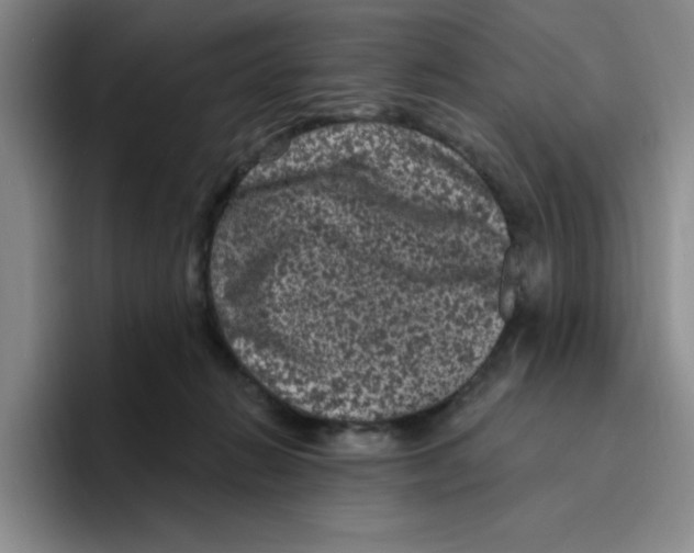 X0000096410270200802211232