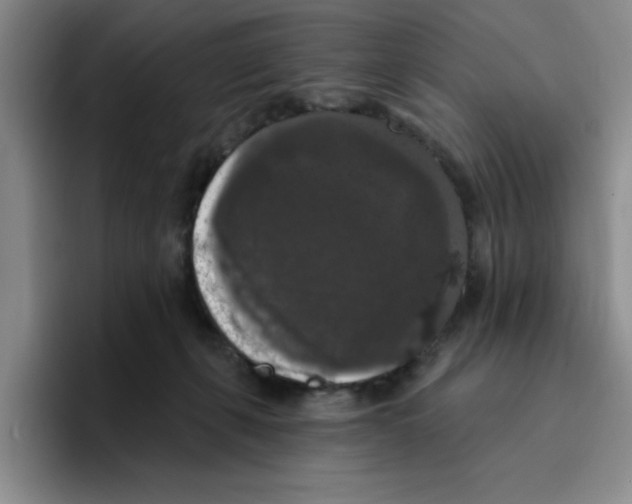 X0000096410271200802211232