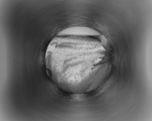 X0000096410273200802211232