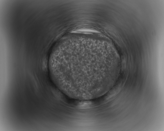X0000096410274200802211232