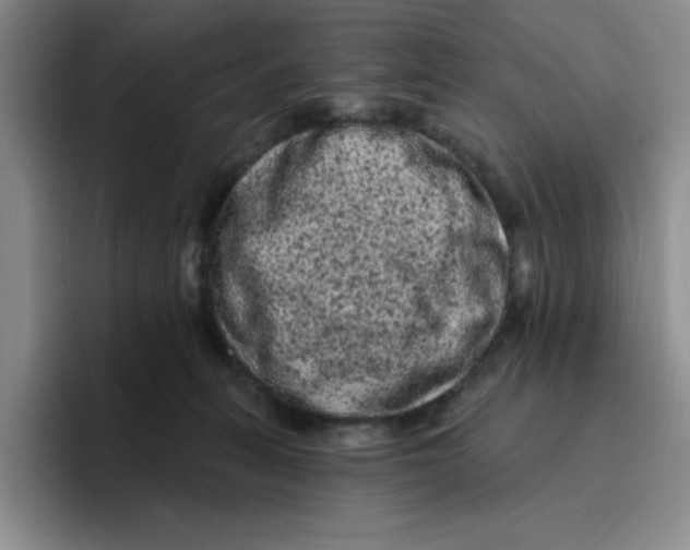 X0000096410275200802211232