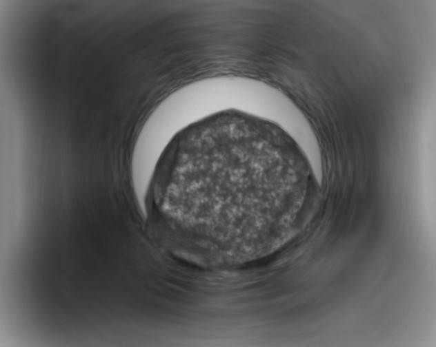 X0000096410276200802211232