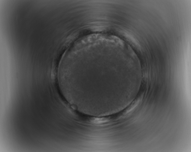 X0000096410277200802211232