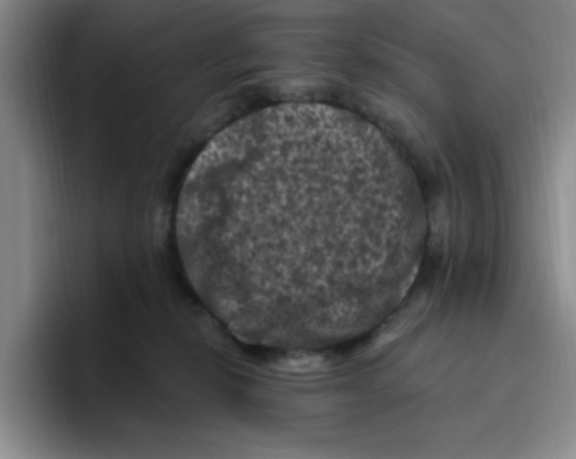 X0000096410278200802211232