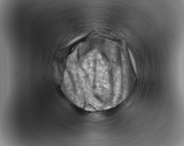 X0000096410280200802211232