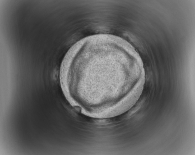 X0000096410281200802211232