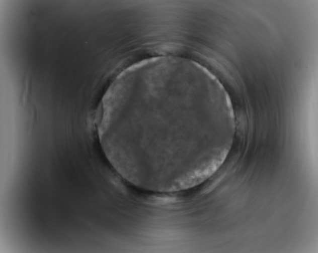 X0000096410284200802211232