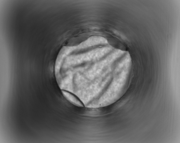 X0000096410288200802211232