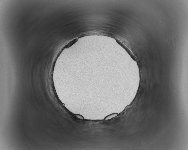 X0000096410289200802211231