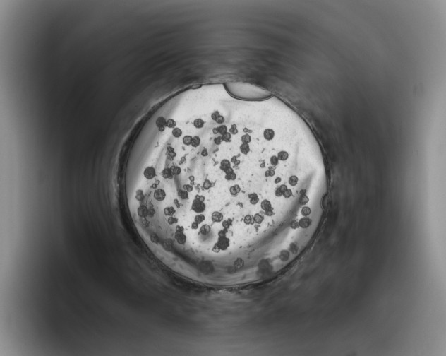 X0000096410290200802211231