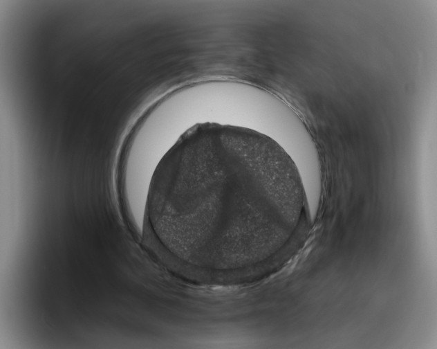 X0000096410292200802211231