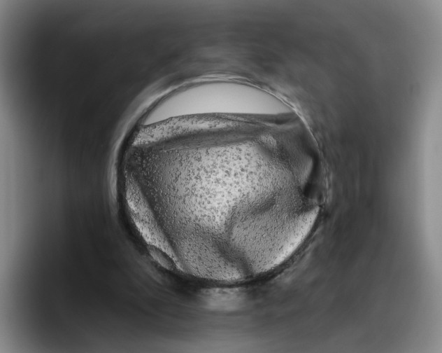 X0000096410296200802211231
