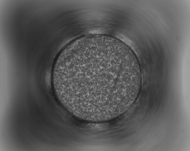 X0000096410297200802211231