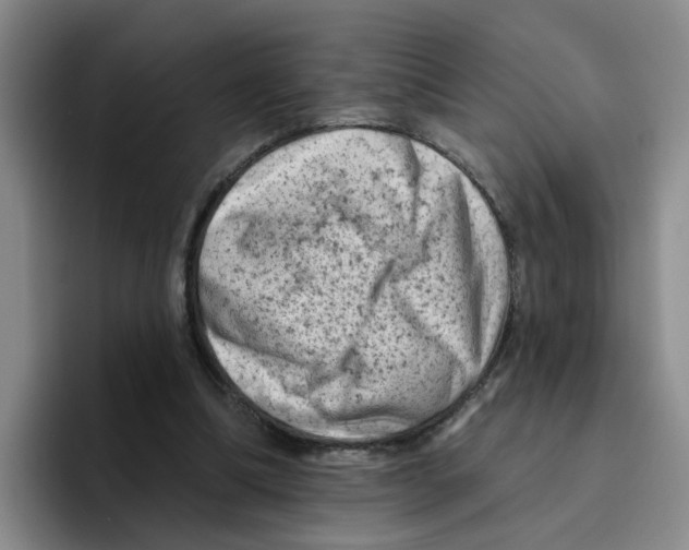 X0000096410298200802211231